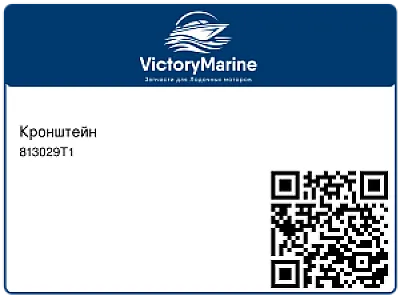 Кронштейн 813029T1
