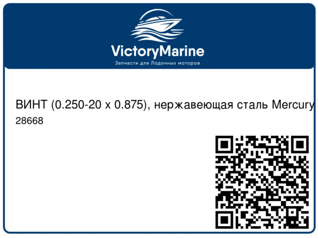 ВИНТ (0.250-20 x 0.875), нержавеющая сталь Mercury