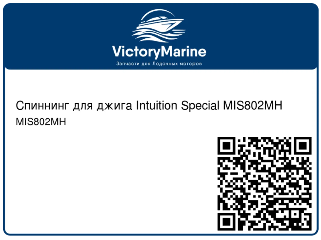 Mystic Спиннинг для джига Intuition Special