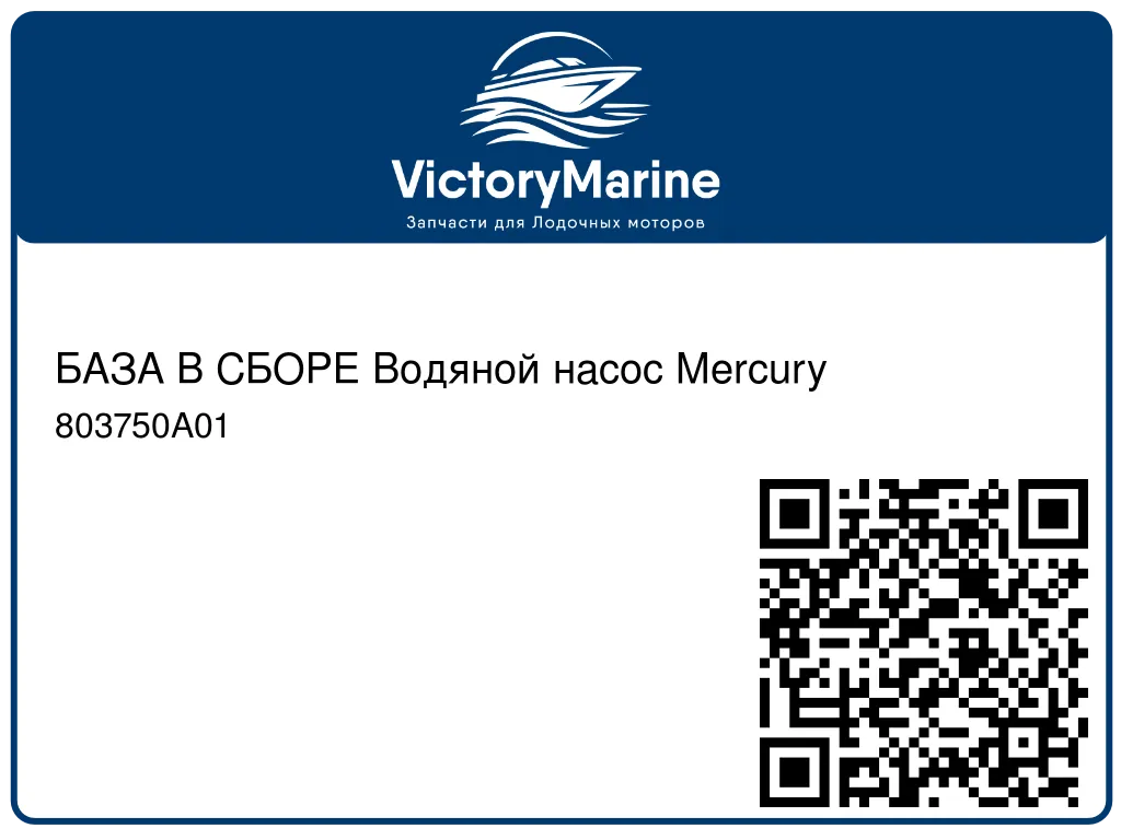 БАЗА В СБОРЕ Водяной насос Mercury 803750A01