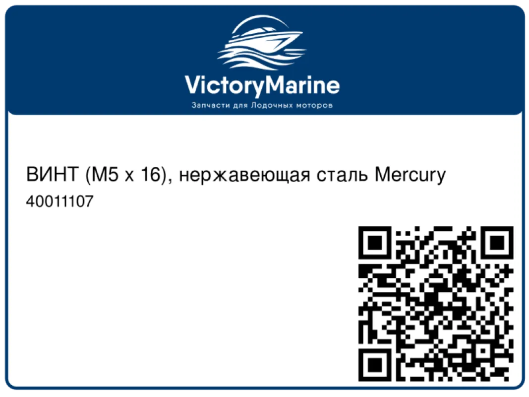 ВИНТ (M5 x 16), нержавеющая сталь Mercury