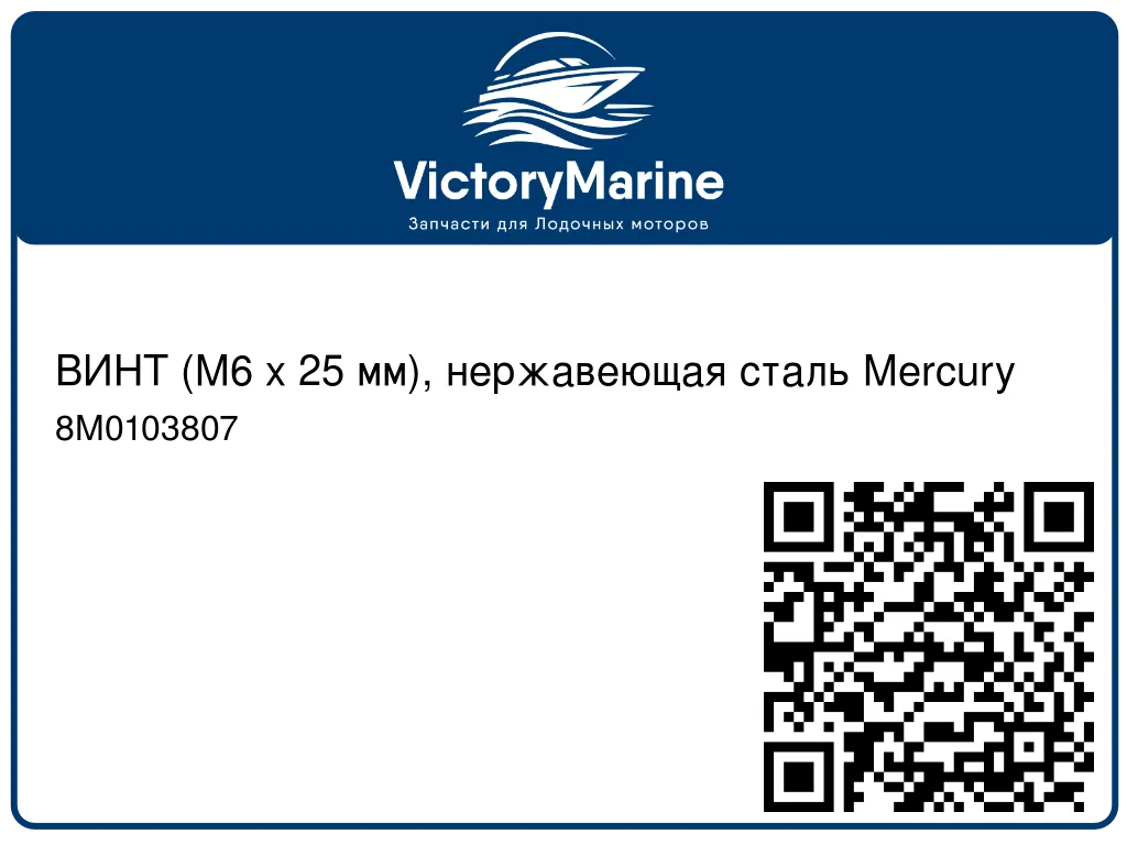 ВИНТ (M6 x 25 мм), нержавеющая сталь Mercury 8M0103807