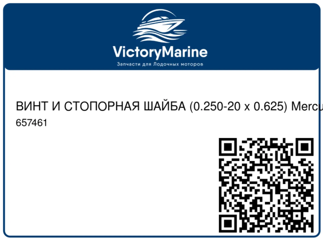 ВИНТ И СТОПОРНАЯ ШАЙБА (0.250-20 x 0.625) Mercury