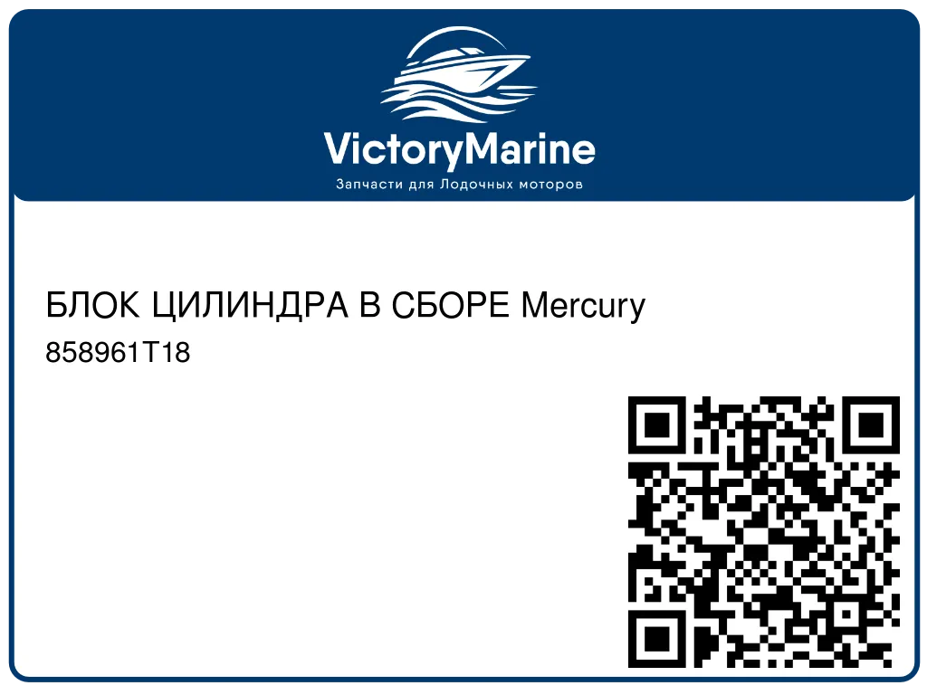 БЛОК ЦИЛИНДРА В СБОРЕ Mercury 858961T18
