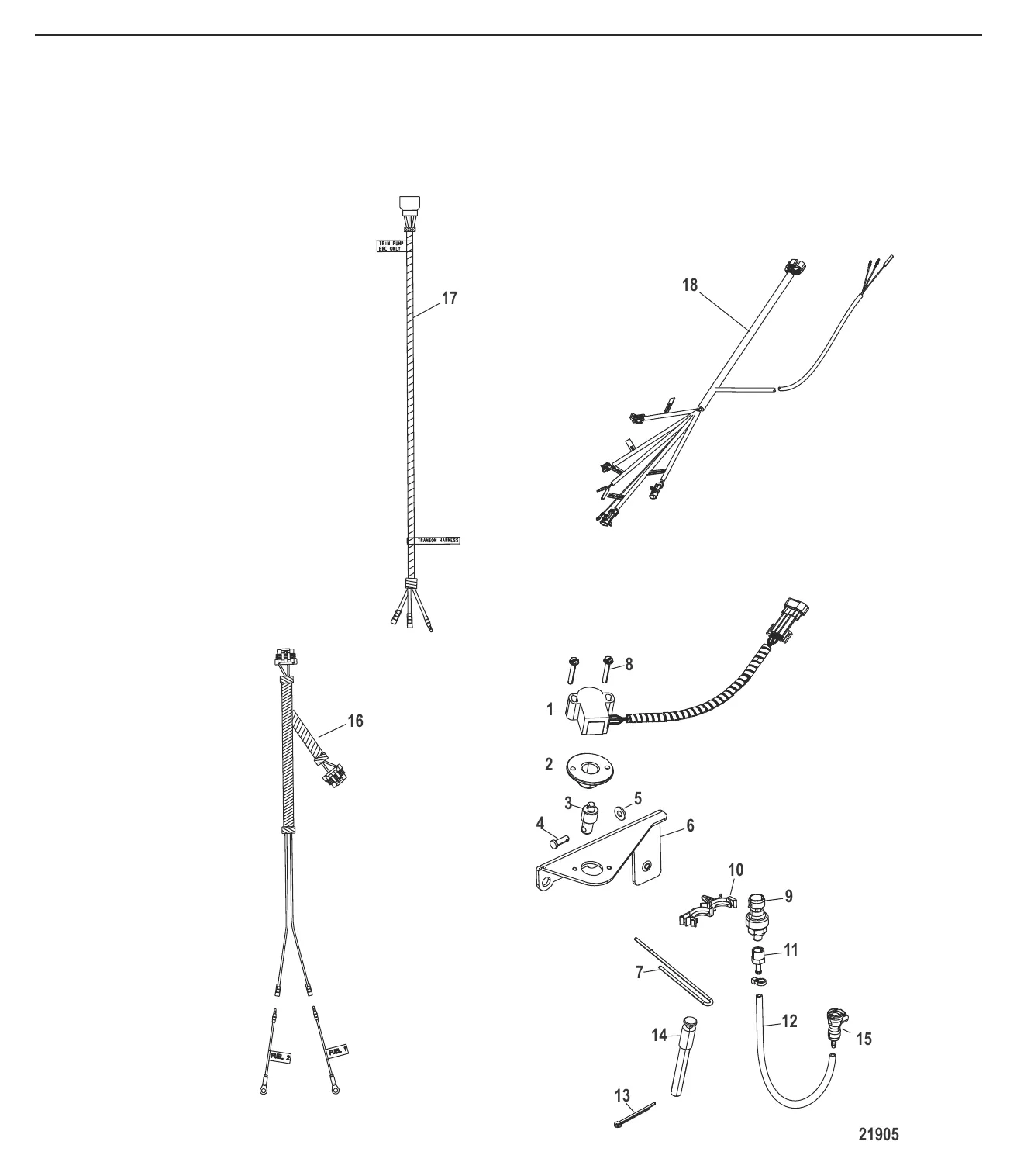 Sensor and Harnesses