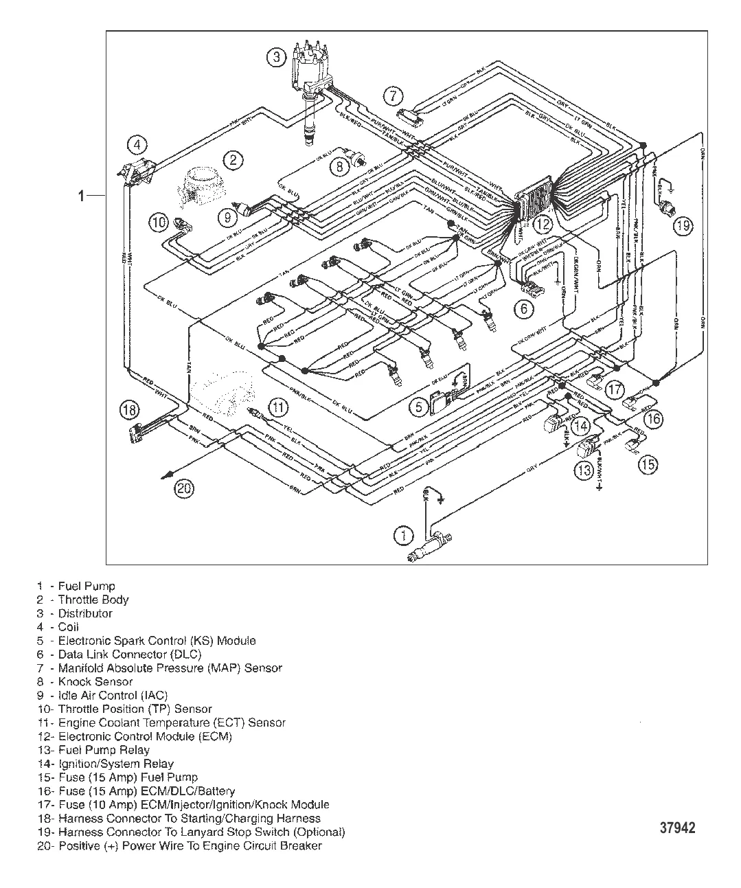 ЭЛЕКТРОПРОВОДКА (EFI)