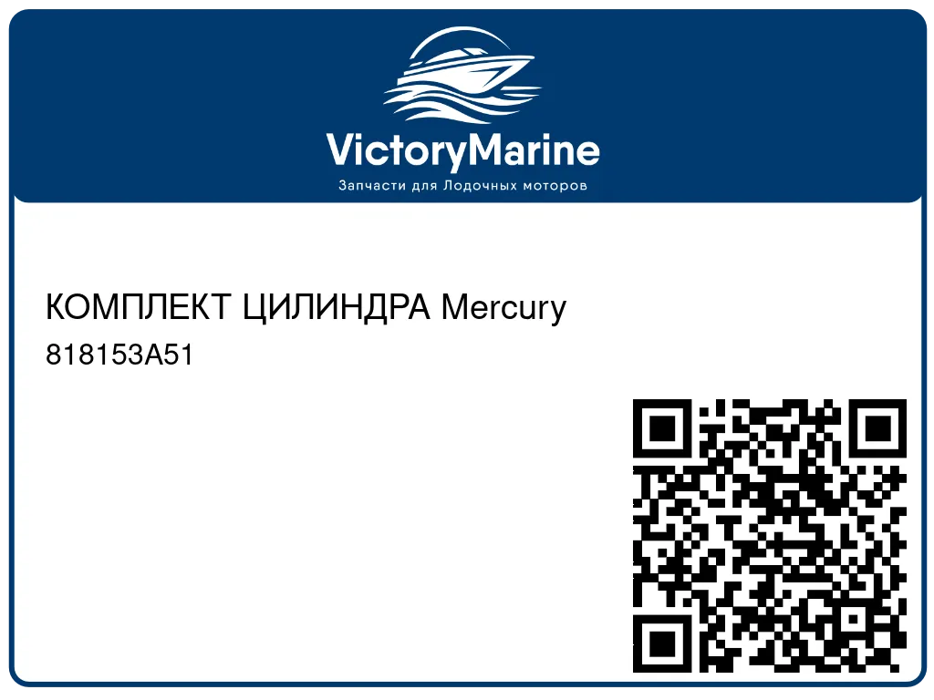КОМПЛЕКТ ЦИЛИНДРА Mercury 818153A51