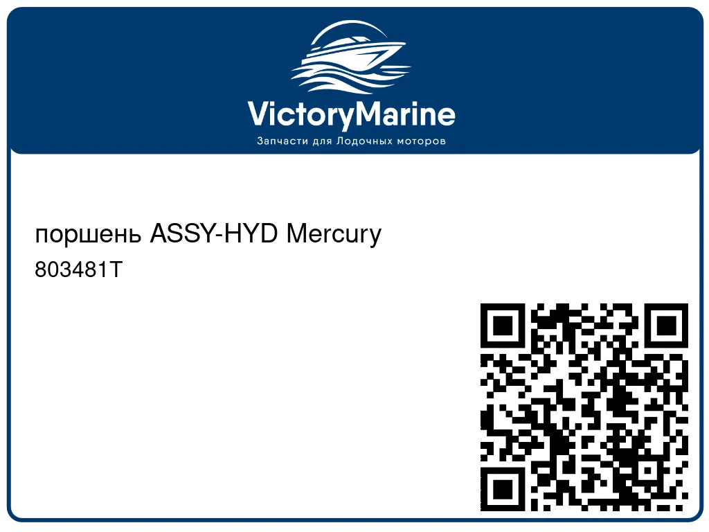 поршень ASSY-HYD Mercury 803481T