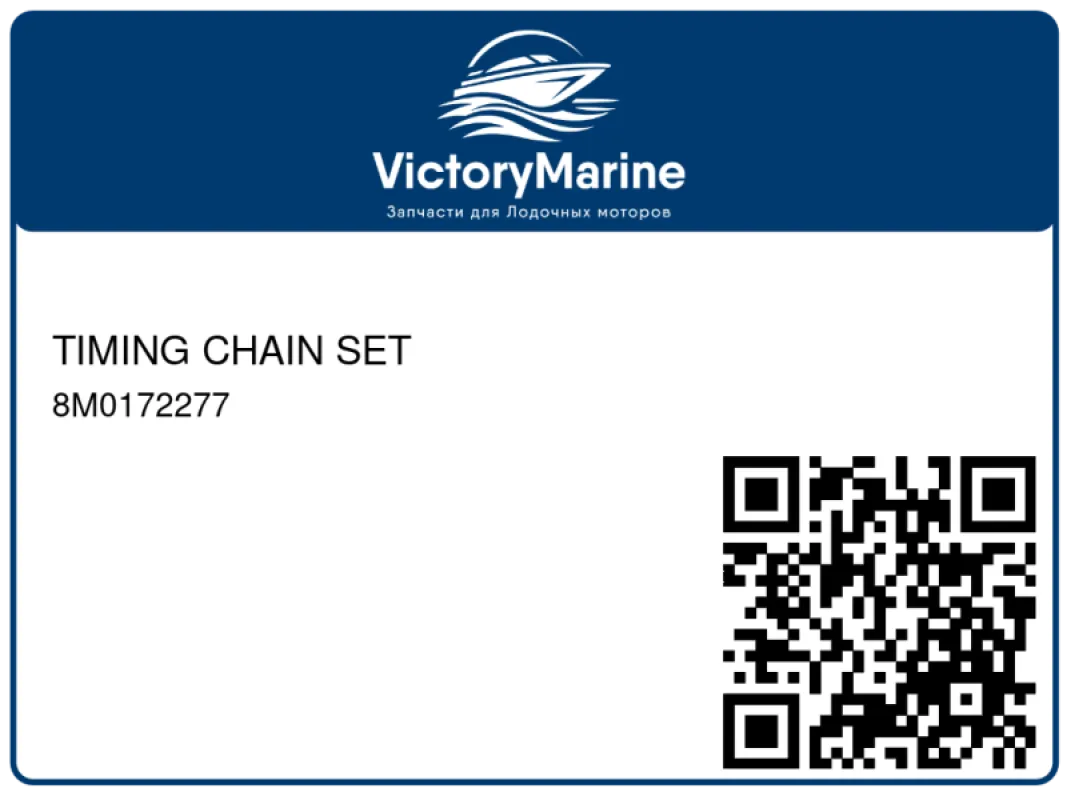 TIMING CHAIN SET