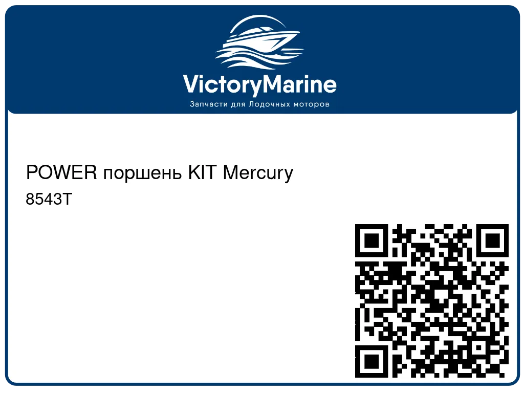 POWER поршень KIT Mercury 8543T