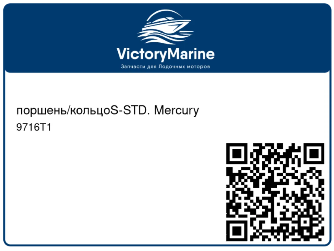 поршень/кольцоS-STD. Mercury