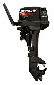 Мотор Mercury 8 MН 1008201EK