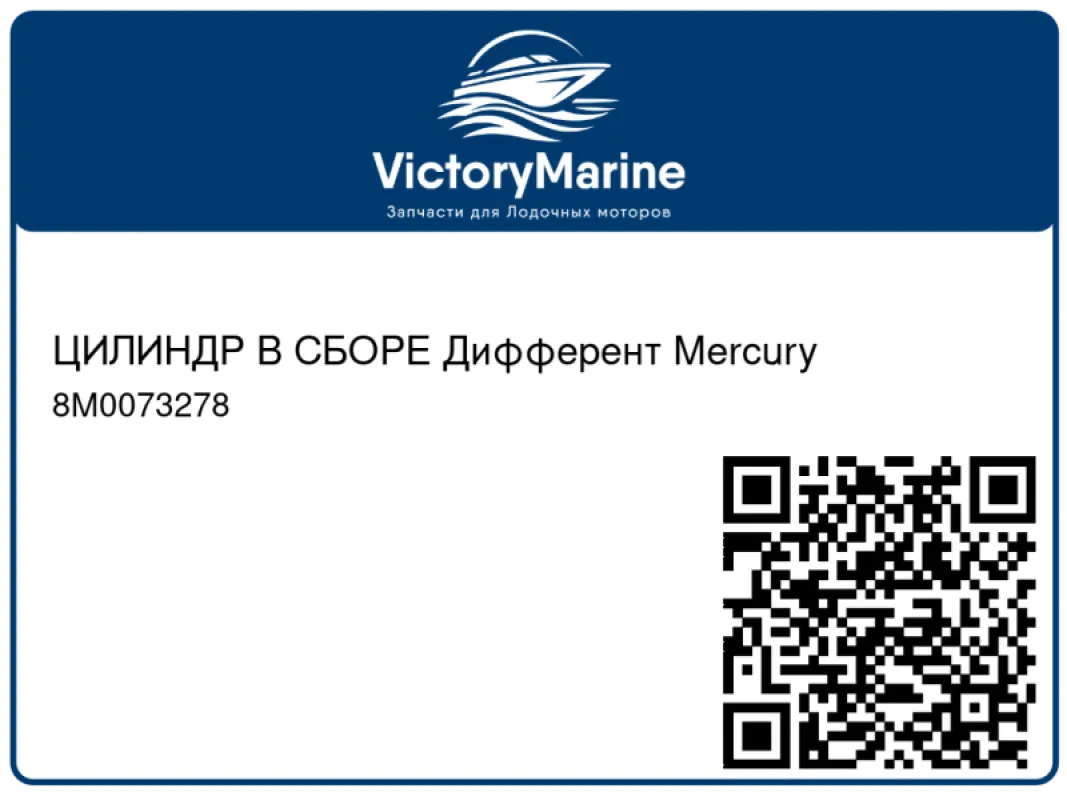 ЦИЛИНДР В СБОРЕ Дифферент Mercury