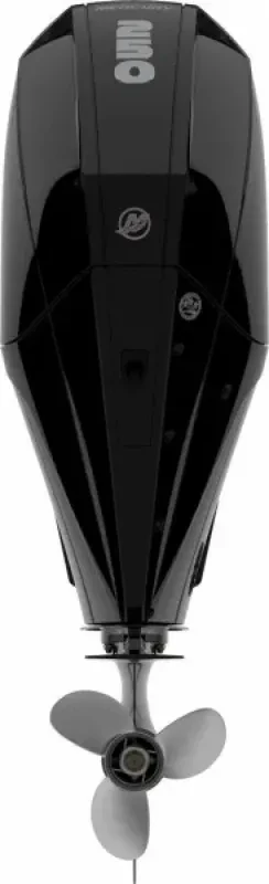 Мотор Mercury F 250 XL AMS DTS