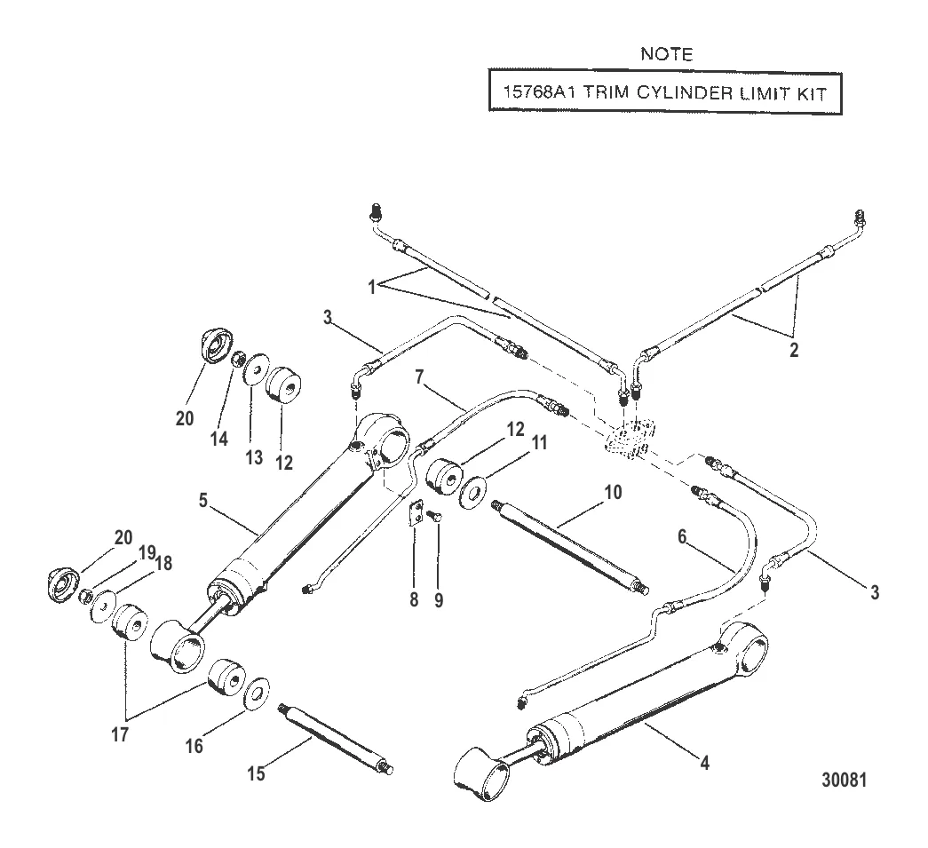 TRIM CYLINDERS AND HYDRAULIC HOSES