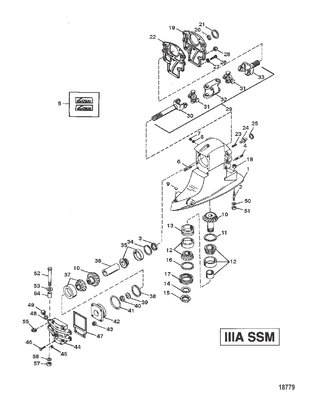 DRIVESHAFT HOUSING AND GEAR ASSY (IIIA SSM)