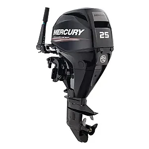 Мотор Mercury F 25 ELPT EFI 1A25413BL