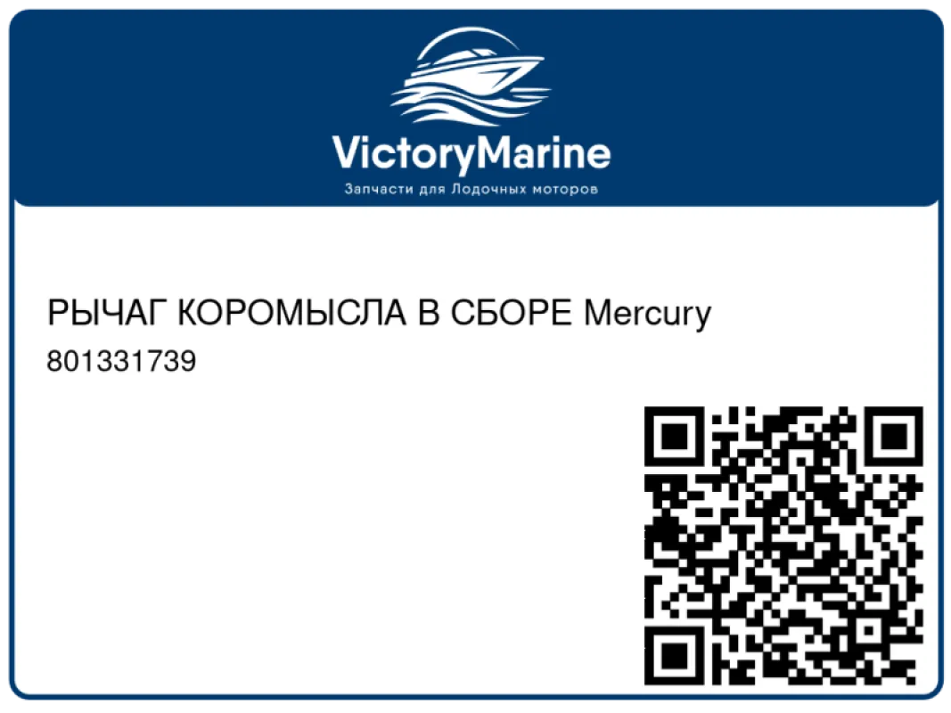 РЫЧАГ КОРОМЫСЛА В СБОРЕ Mercury