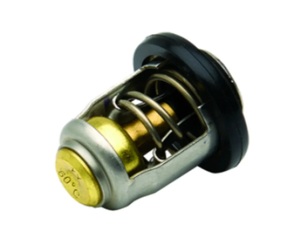 Термостат 25-40 EFI (QUICKSILVER)