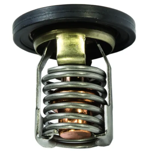 8M0057307 Термостат Mercury optimax 100-250 сил