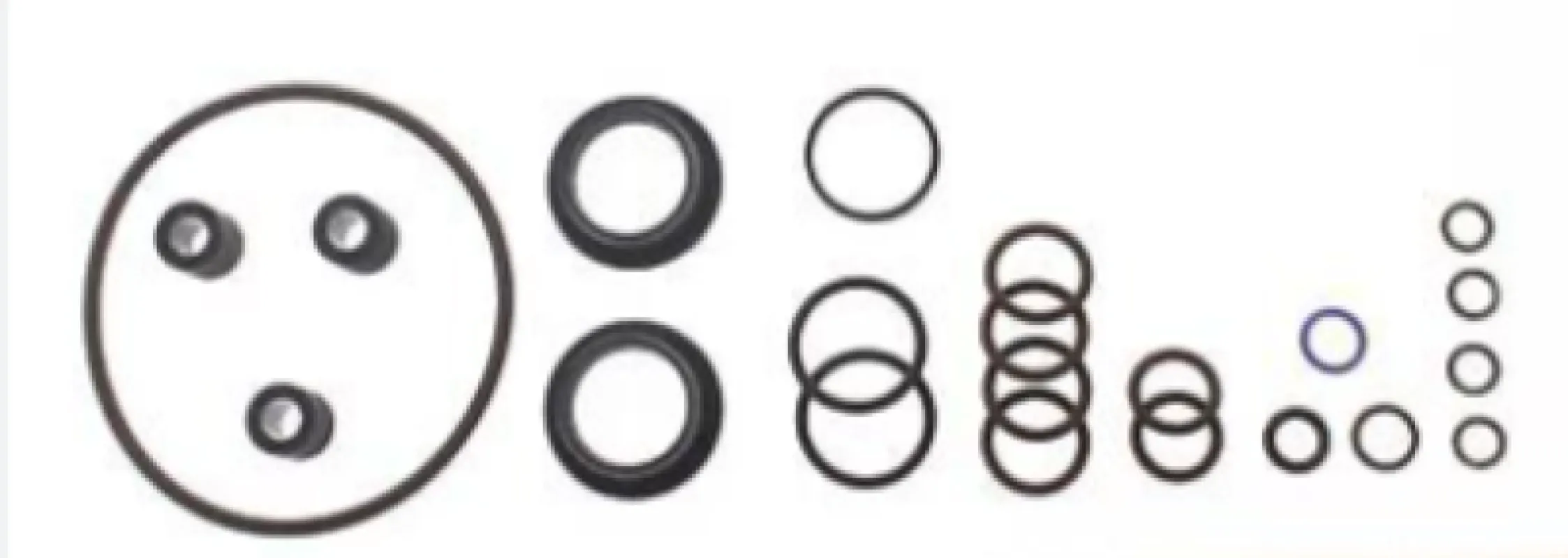 Ремонтный комплект Топливного насоса.