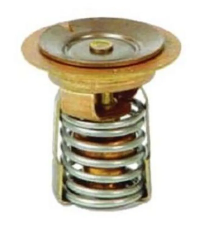 Термостат Mercury 40-60 (QUICKSILVER)