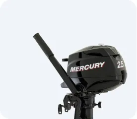 MERCURY F 2.5