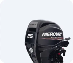 MERCURY F 25