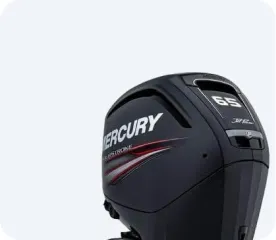 MERCURY F 65 (JET) ВОДОМЕТНЫЙ