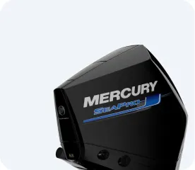 225 4.6L V8 (4-ТАКТН.) SEAPRO