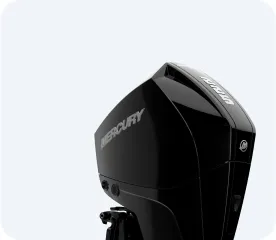 225 EFI (4-ТАКТН.)