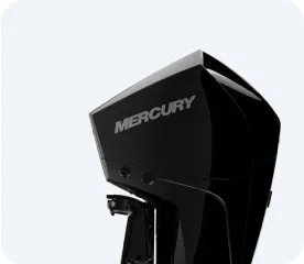 250 4.6L V8 (4-ТАКТН.)