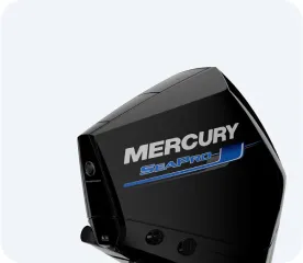 300 4.6L V8 (4-ТАКТН.) SEAPRO