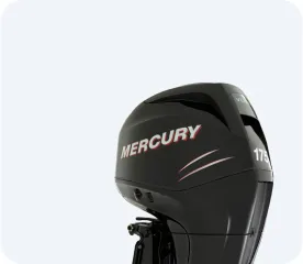 [1B381712 THRU 1B517158] - USA