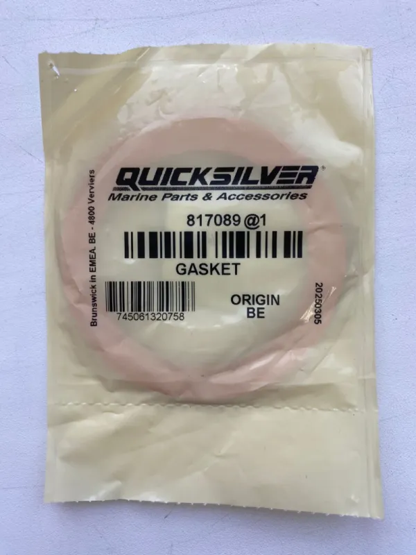 Прокладка улитки (QUICKSILVER)