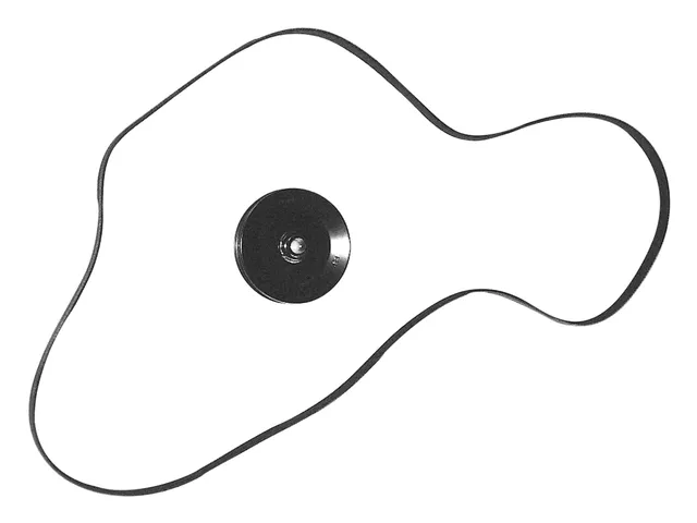 Кабель питания DTS 15" 8M0150523