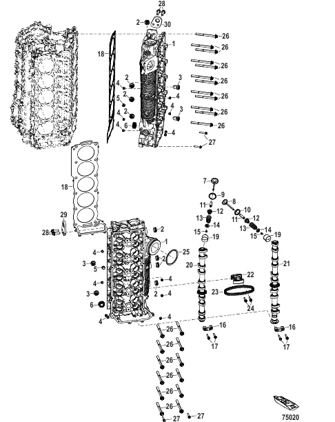Cylinder Head and Camshaft