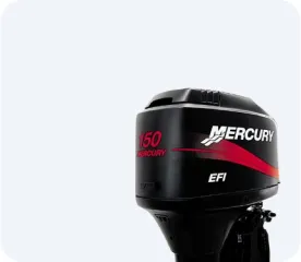 2-тактные EFI от 150 до 300