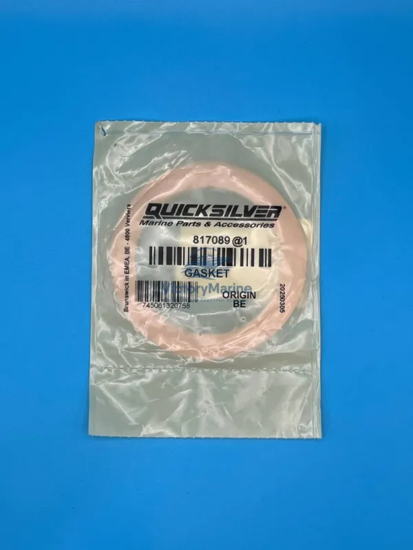 Прокладка улитки (QUICKSILVER)