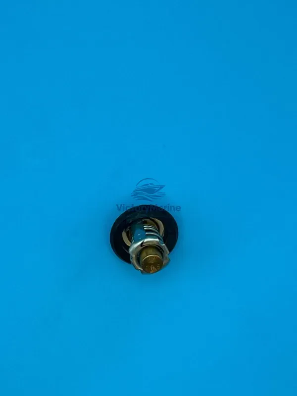 8M0223832 Термостат 40-60 Mercury  (QUICKSILVER)