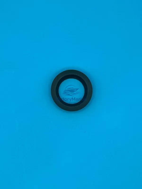 УПЛОТНЕНИЕ Mercury (QUICKSILVER)