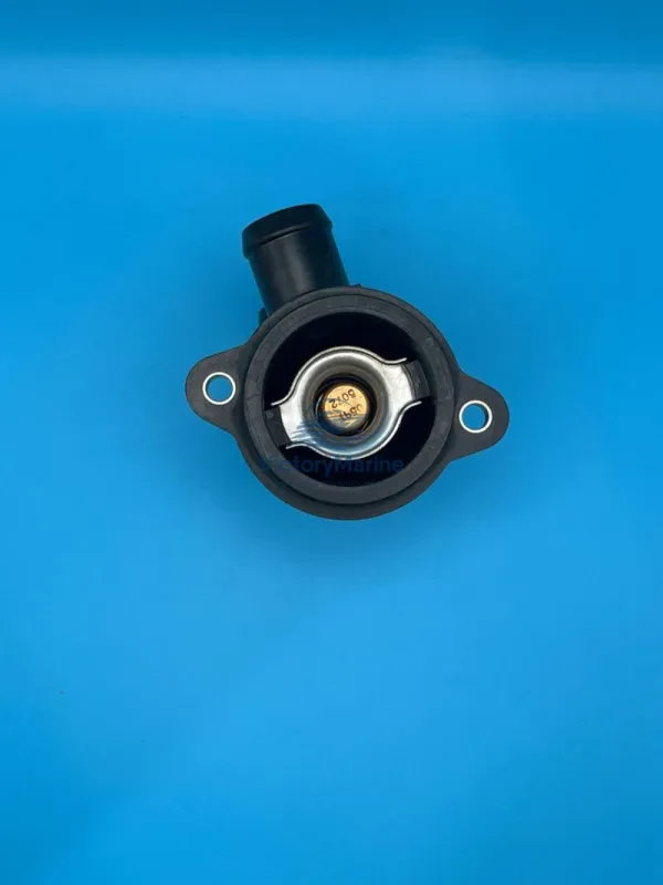 Термостат Mercury V10.