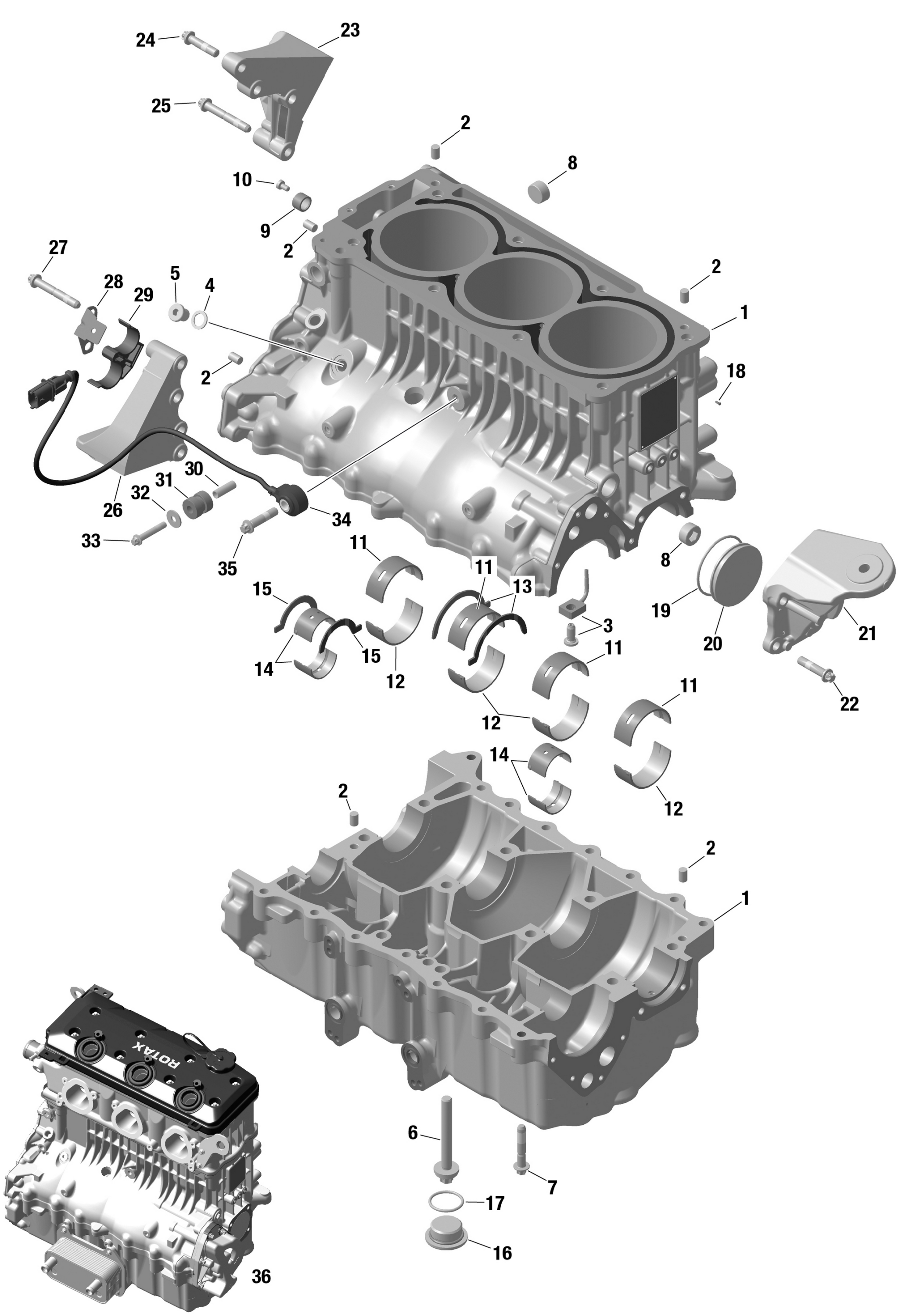 ROTAX картер