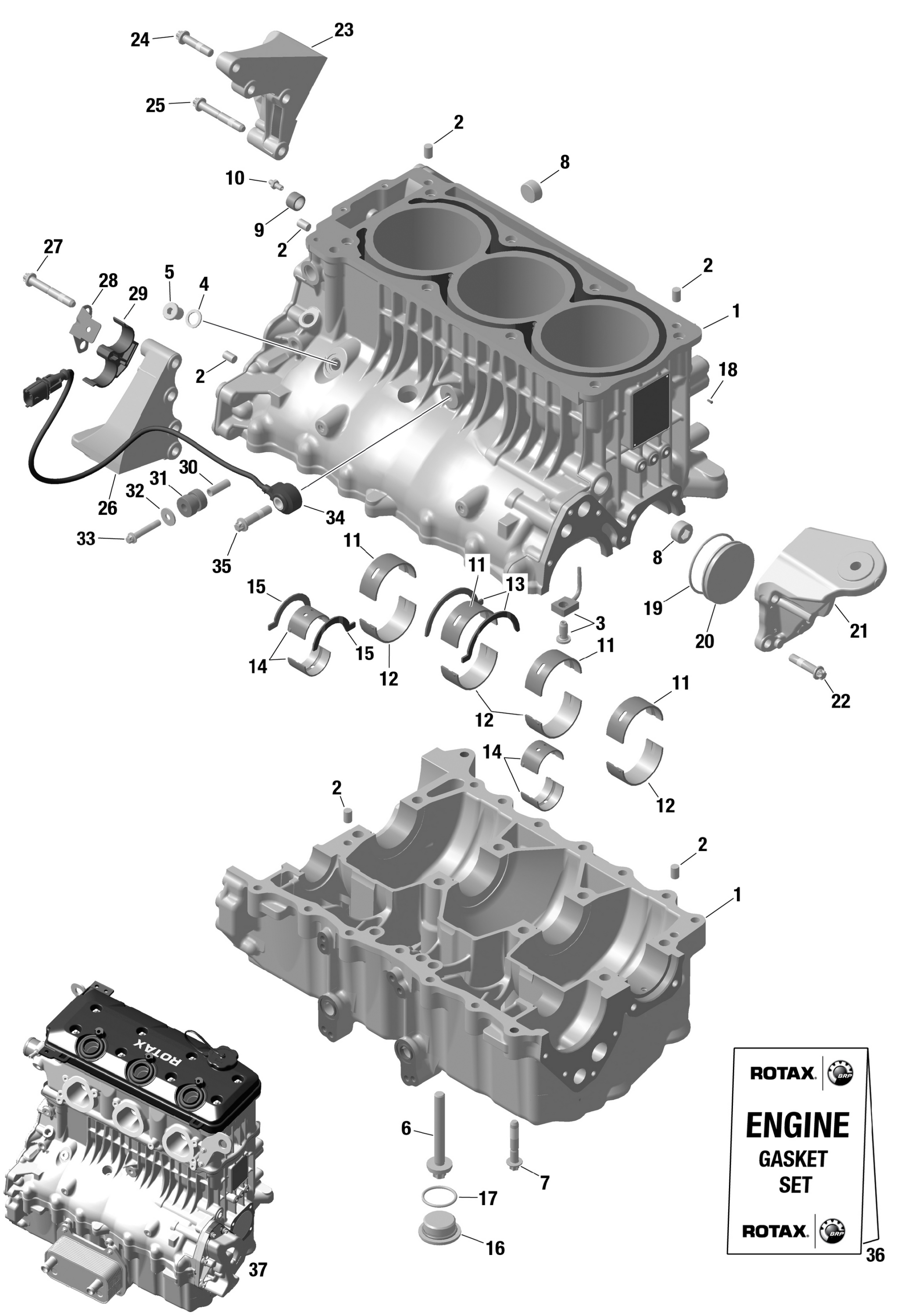 ROTAX картер