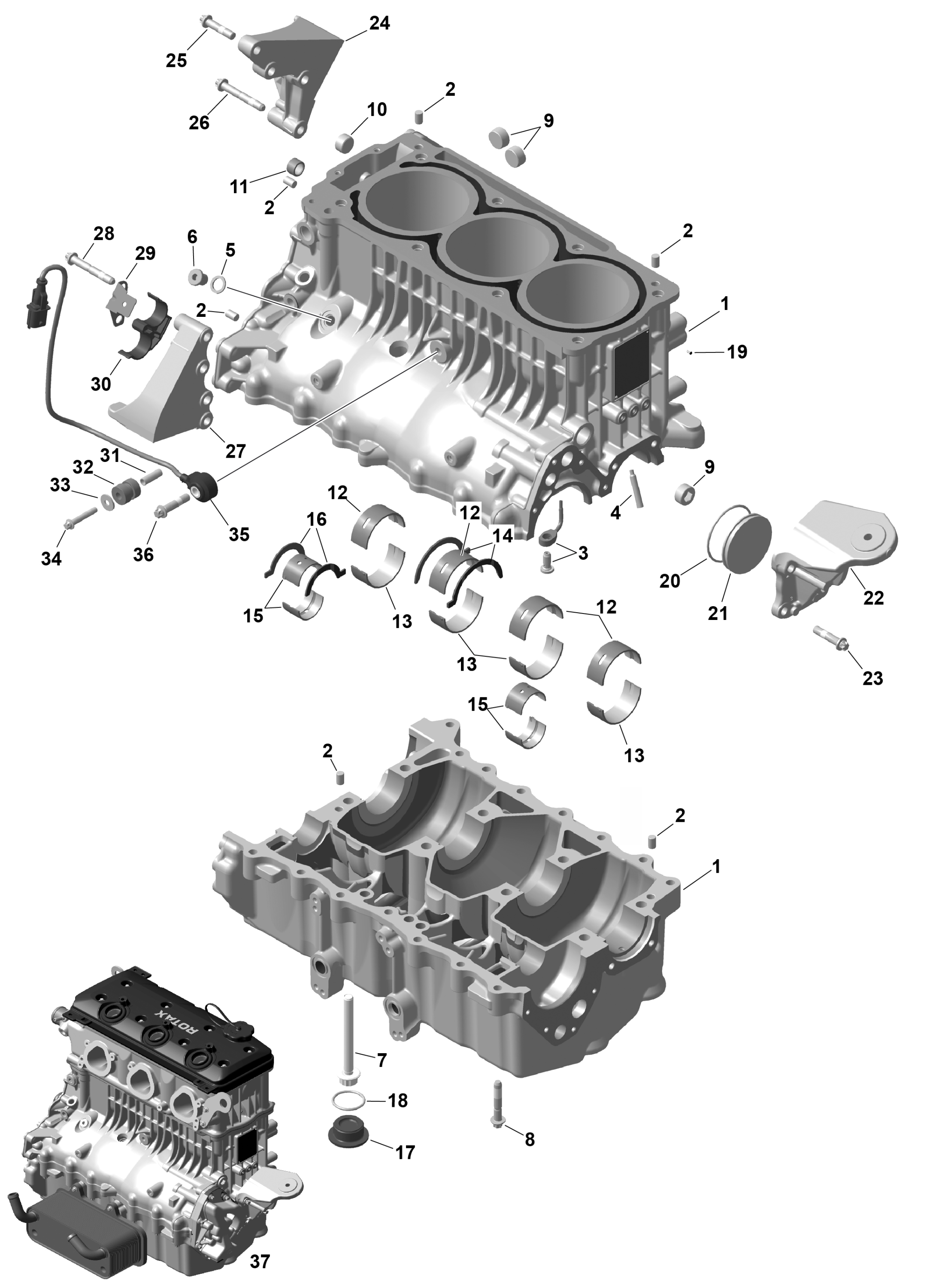 ROTAX картер