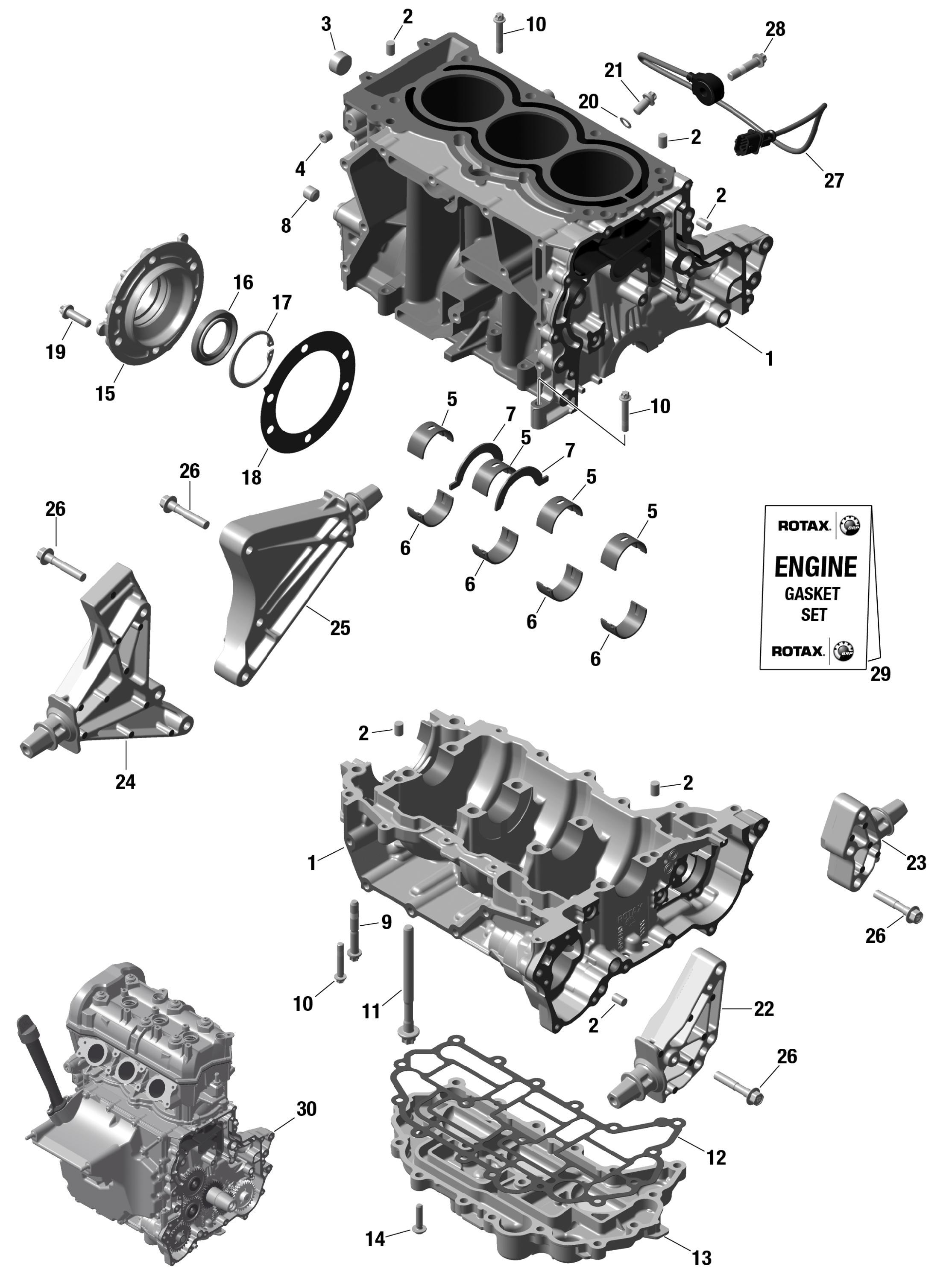 ROTAX картер