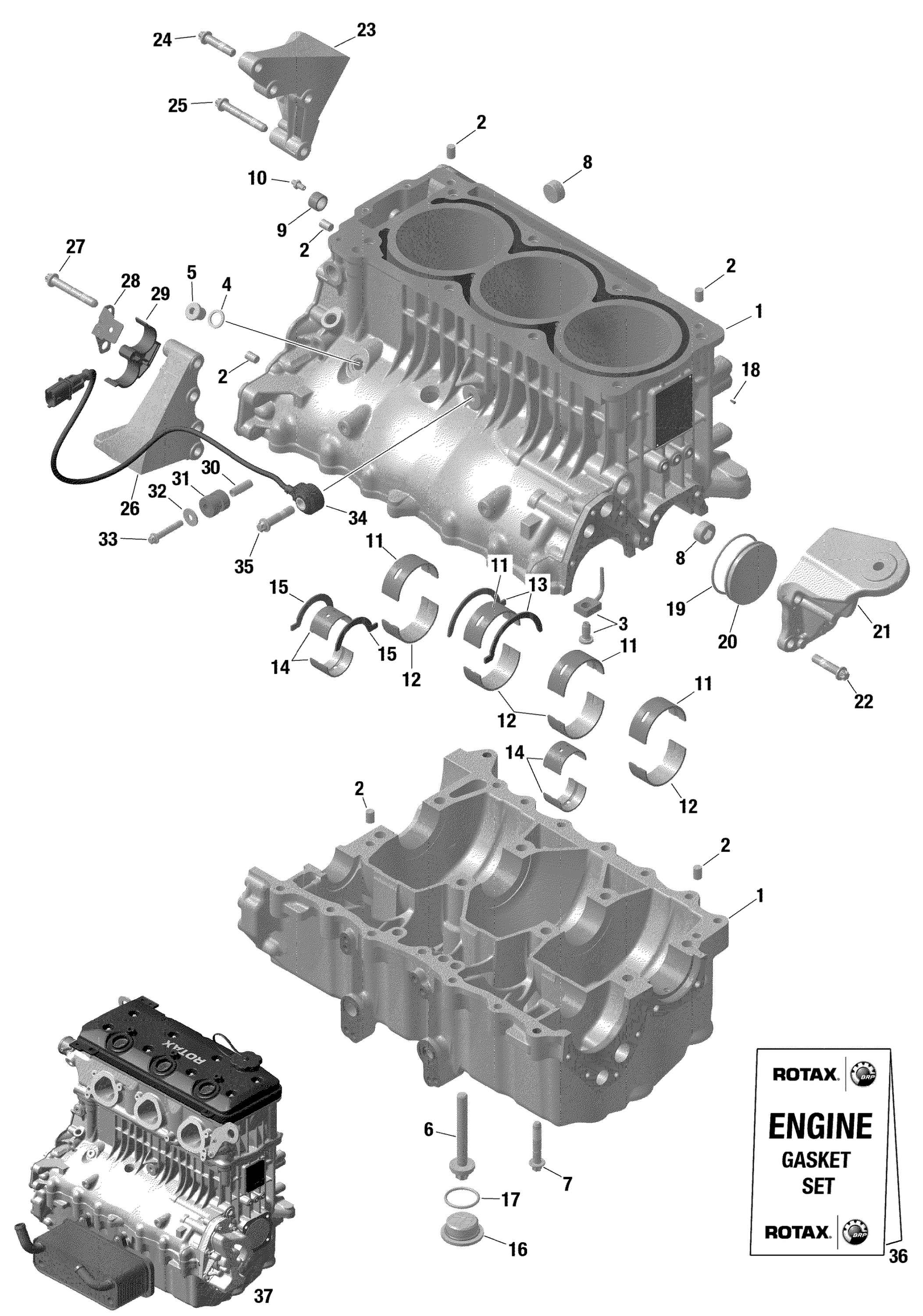 ROTAX картер