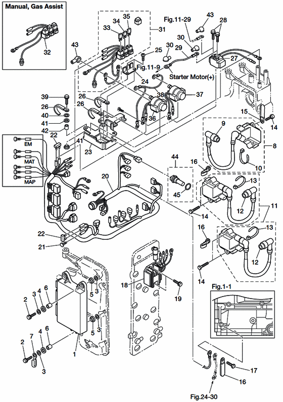 Electric детали (ecu и diagram)