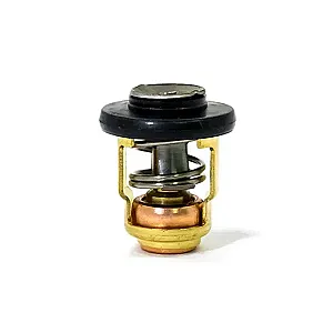 Термостат Yamaha 6E5-12411-30