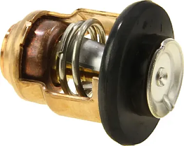 Термостат Yamaha 66M124110000